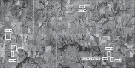 Alt Text for Image