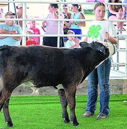 Madison Hegemann – Purple Champion Bucket Calf-Intermediate Division