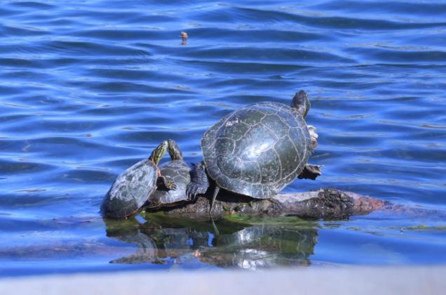 A little huddle