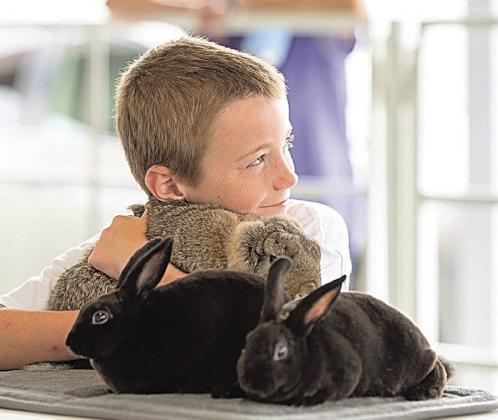 2025 Pawnee County Fair 4-H Results