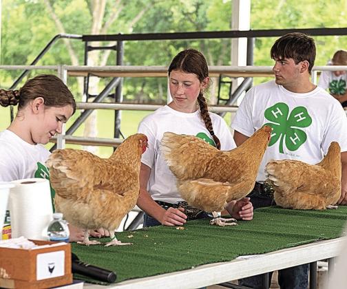 2025 Pawnee County Fair 4-H Results