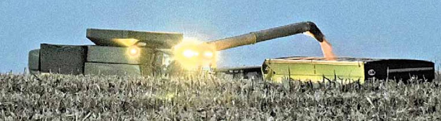 As harvest continues