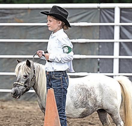 Jael Cappen – Purple – Champion Horse Showman-Junior Division