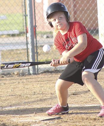 Pawnee City T-Ball and Coach Pitch teams wrap up seasons