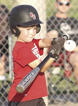 Pawnee City T-Ball and Coach Pitch teams wrap up seasons