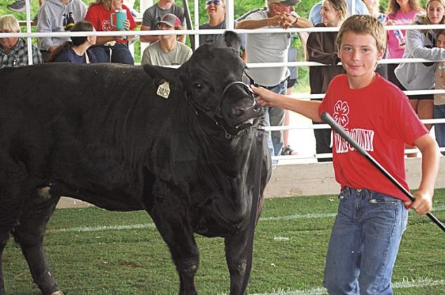 Dalton Heideman, Reserve Champion Bucket Calf +1-Heifer
