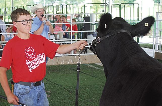 Luke Hunzeker, Champion Born &amp;amp; Raised Market Heifer