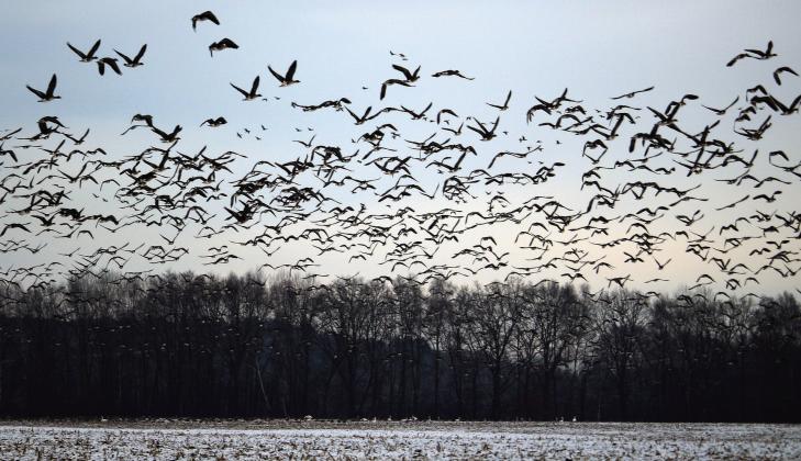 From the Ozarks to Open Skies