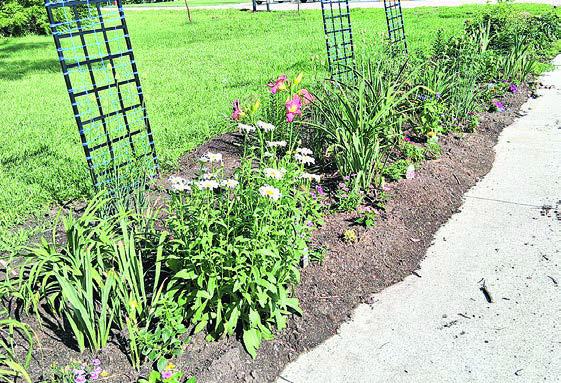 Pawnee County in Full Bloom