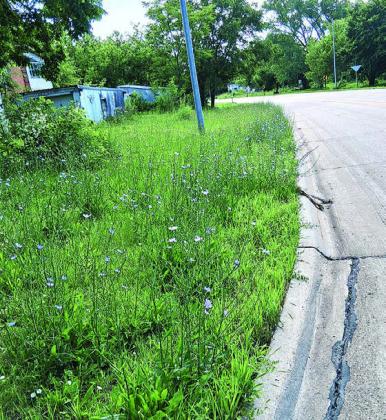 Pawnee County in Full Bloom