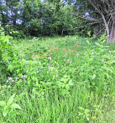 Pawnee County in Full Bloom