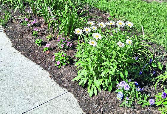 Pawnee County in Full Bloom