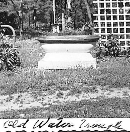 Horse Watering Trough