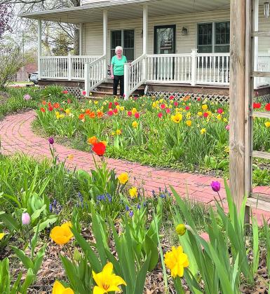 My mom (Jeannie Tegtmeier) has kind of outdone herself with the spring tulips and daffodils this year. Submitted by Melissa McCoy