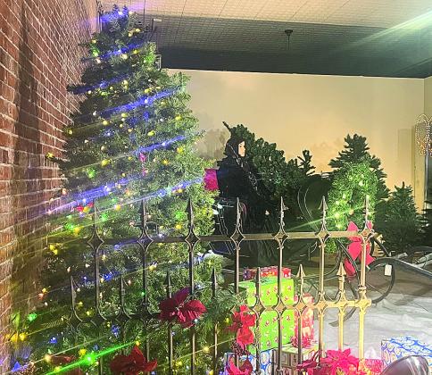 Unique Christmas Display in Table Rock