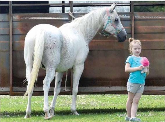 The 4-H fair attracted the older crowd and very young like Jayden Wilcox. Ray Kappel/Republican