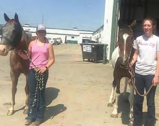 District Horse Show