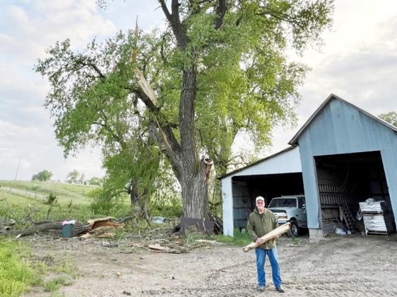 Lightning struck this huge cottonwood tree and blasted it apart. Scott Bodie is holding a large piece he picked up 250 yards away in the pasture. The tree is huge, but a close look shows a big part of it gone at the left.