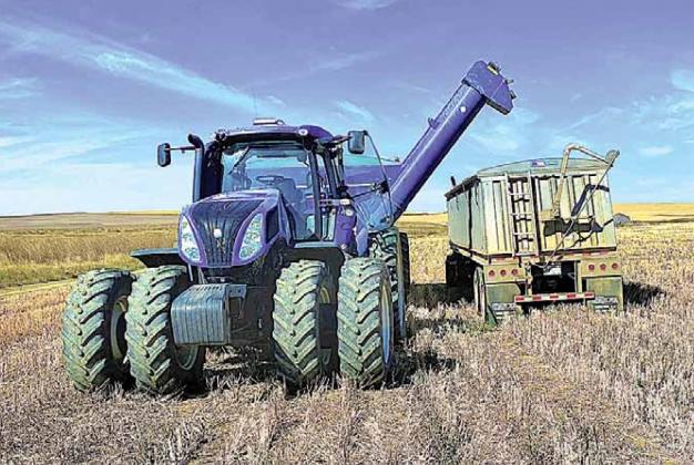 Harvesting in Montana