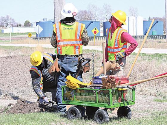Treating power poles