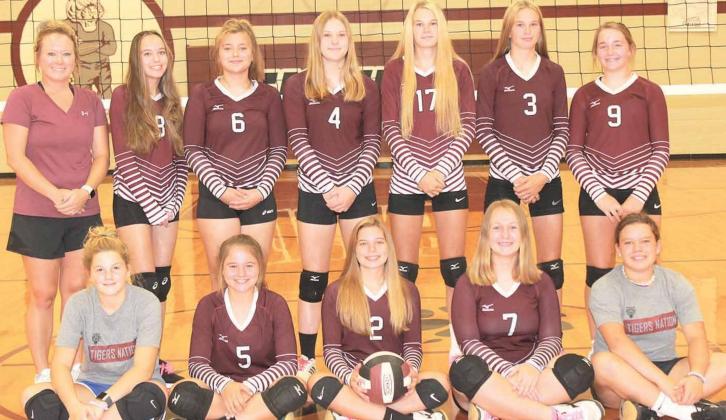 Members of the 2020 Lewiston volleyball team are front, from left: Delayne Currie, s.m., Leah Christen, Masyn Arena, Becca deKoning, Tana Antons, s.m. Back row: Asst. Coach Whitney Antons, Persefenie Woutzke, Jaque Mullins, Emma deKoning, Meagan Sanders, Katelyn Sanders, Carleigh Weyers. Not pictured: Head Coach Jared Knapp.