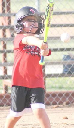 Putting the bat on the ball!