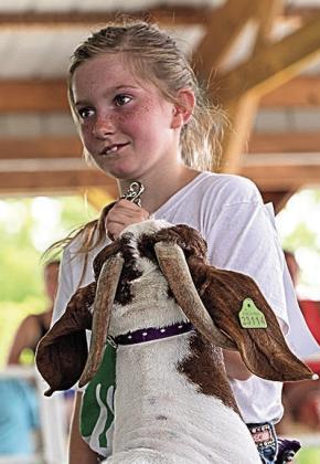 Addison Barr – First Purple Champion Meat Goat Showman Junior Division – Round Robin Showmanship Representative
