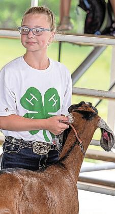 Jayden Wilcox – Purple – Reserve Champion Dairy &amp;amp; Pygmy Goat Showman-Intermediate