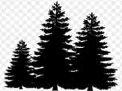 Treesgiving