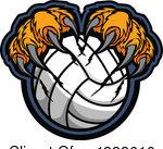 2023 LHS Volleyball Roster