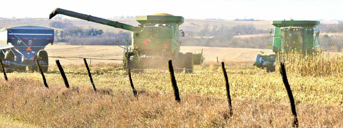 Finishing the harvest for Bryce Niss