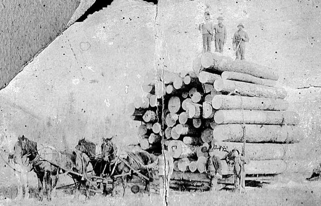 McCourtney in Alaska in 1897. He is identified as the fellow standing on the ground by the logs, at right.