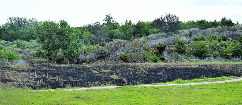 The burned land at Iron Horse lake