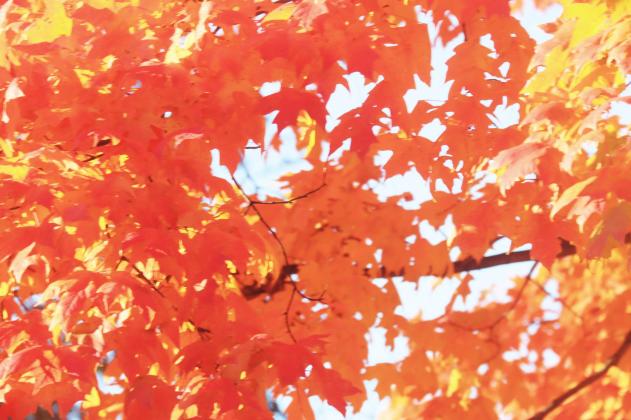 Fall is a time to appreciate our area’s beauty