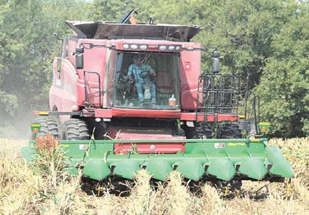 Area harvesting underway