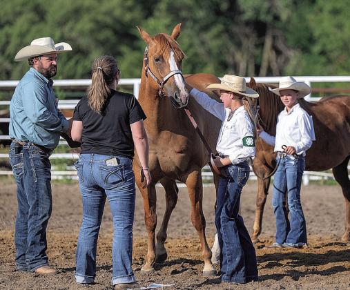 2026 Pawnee County Fair 4-H