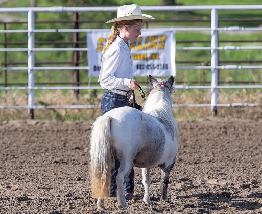 Jael Cappen The 4-H foundation hired one of their alumni, Eliza (Hunzeker) Christopher to take photos at the 4-H shows. All photos on these pages are courtesy of South Fork Photography, southforkidaho.com.