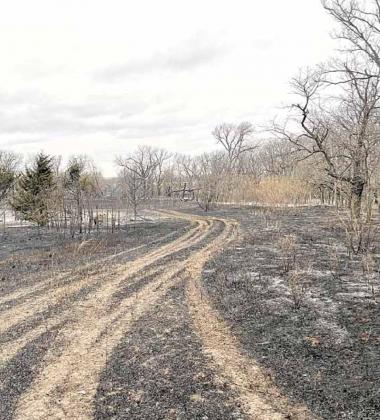 80 acres burn at Taylors Branch WMA
