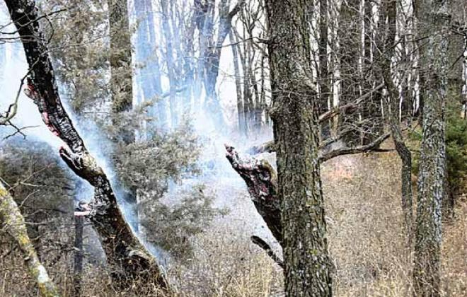 80 acres burn at Taylors Branch WMA
