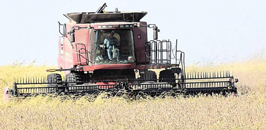 Harvest running ahead of normal