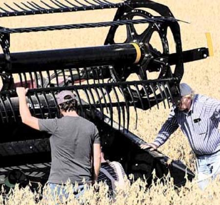 Harvest running ahead of normal