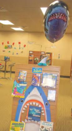 The Shark Week display.