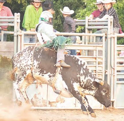 Pawnee County Fair Photos