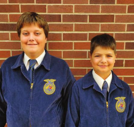 FFA news