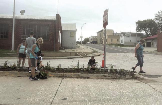 Volunteers gathered last week to plant flowers on the median on highway 50 across from The Little Brown Jug. The median is planted each spring as part of the Pawnee City Chamber of Commerce's initiative to beautify Pawnee City by planting flowers downtown. Kramer Kutting cleared last year's plants and John Howard tilled the dirt. 'It takes an army,' Angie Kramer, co-manager of the Little Brown Jug, said. Photos courtesy of Angie Kramer