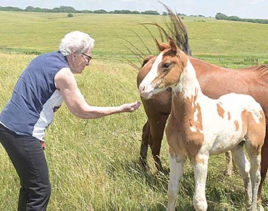 Opal Rule reaches out to Tater to come closer. Tater was born on Good Friday, hence his name. Rau Kappel/Republican
