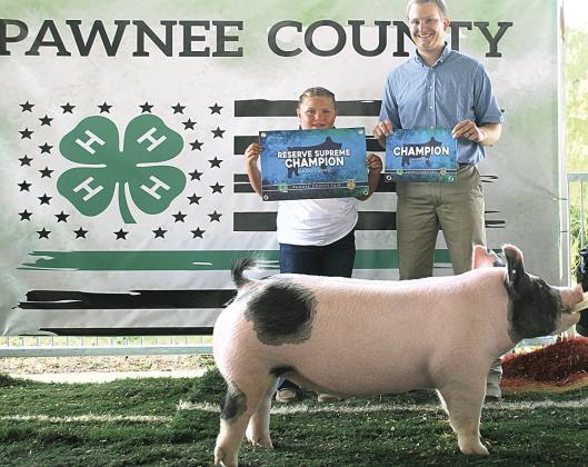 Blaine Shields Champion Market Gilt, Reserve Champion Market Swine