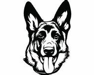 Dog Gone