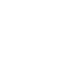 Alt Text for Image