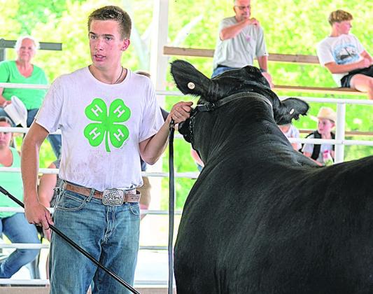 Ashton Sanders – 3.759day – Purple – Champion Beef Rate of Gain Steer